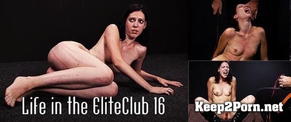 Zseby in porn: Life in the Elite Club 16 [SD] Mood Pictures, Elite Pain