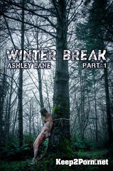 Ashley Lane (Winter Break: Part 1 / 31.01.2018) (HD / BDSM) HardTied