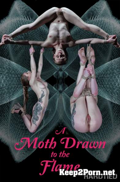 Cora Moth (A Moth Drawn To The Flame / 13.02.2019) [720p / BDSM] HardTied