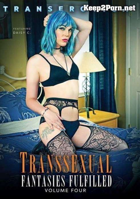 Transsexual Fantasies Fulfilled 4 [FullHD 1080p] Transerotica