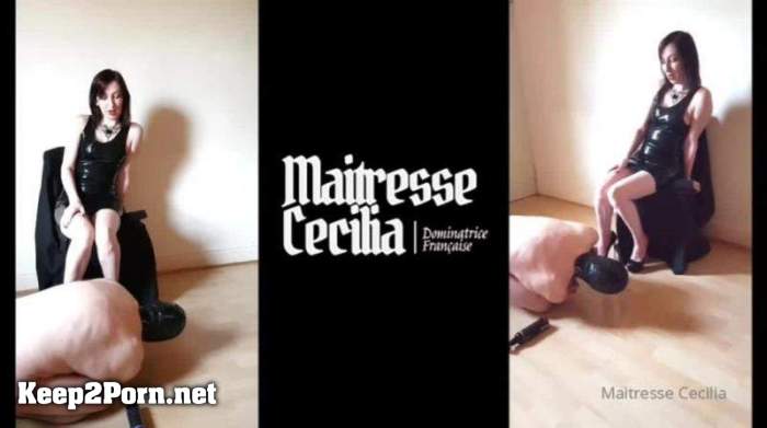 Maitresse Cecilia - Part 1 Frustration In Chastity / Humiliation [SD 640p] [Clips4sale]