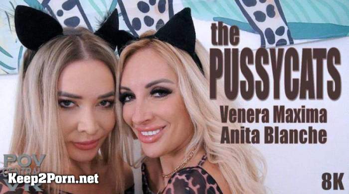 Venera Maxima, Anita Blanche - The Pussycats [Oculus Rift, Vive] [4096p / VR] [POVCentral]