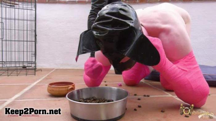 Shoe eating Puppy Gets Punished / Humiliation (Femdom, FullHD 1080p) [GoddessGynarchy]
