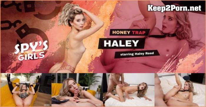 Haley Reed - Honey Trap Haley [Oculus Rift, Vive] (VR, UltraHD 4K 4000p) [VRSpy]