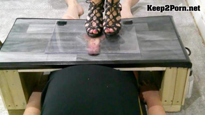 Ambers Trample Palace - Plexi Glass Cock and Ball Trampling Under My Dirty Soles Camera 3 Short Clip [1080p / Femdom]