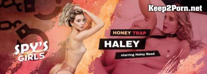[VRSpy] Haley Reed - Honey Trap Haley [Oculus Rift, Vive] [UltraHD 2K 1920p]