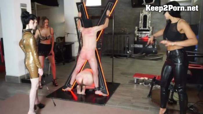 [Clips4sale] Three Femdom Chicks Whipping And Punishing Their Slaves [FullHD 1080p]