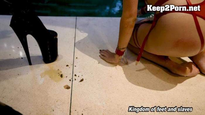 [Kingdom Of Feet And Slaves] Lick the wasabi off my heels [1080p / Femdom]