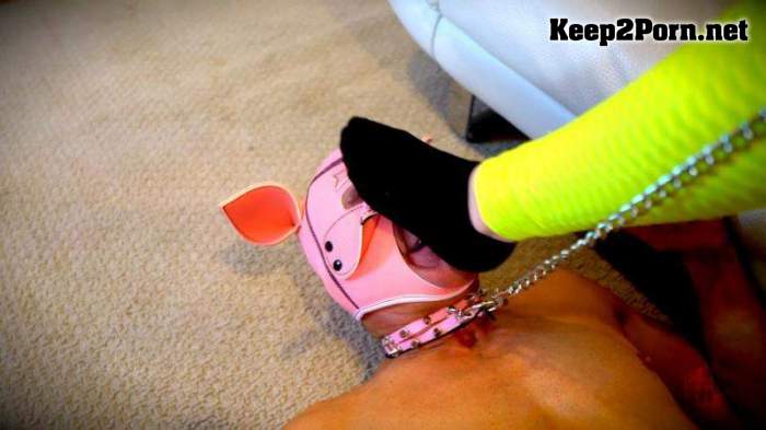 Domina Planet - From Professor To Dirty Foot Pig. Starring Queen Irene (mp4 / FullHD)